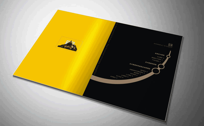 宣傳冊(cè)資料AI四折頁(yè)三折頁(yè)<strong>印刷</strong>